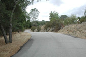 Enlarge photo 174