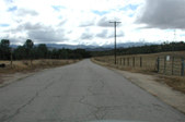 Enlarge photo 175