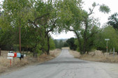 Enlarge photo 176