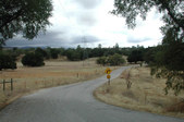 Enlarge photo 178