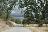Enlarge photo 179