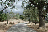 Enlarge photo 180