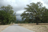 Enlarge photo 181