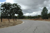Enlarge photo 183