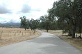 Enlarge photo 186