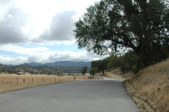 Enlarge photo 187