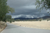 Enlarge photo 188