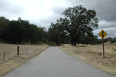 Enlarge photo 190