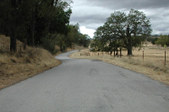 Enlarge photo 194