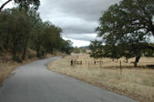 Enlarge photo 195