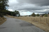 Enlarge photo 196