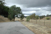 Enlarge photo 197