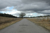 Enlarge photo 199