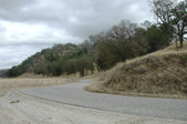 Enlarge photo 201