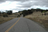 Enlarge photo 202