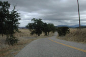Enlarge photo 204