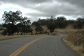 Enlarge photo 205