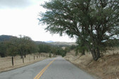 Enlarge photo 206