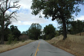 Enlarge photo 214