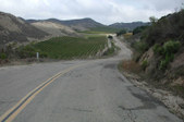 Enlarge photo 218