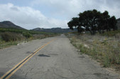 Enlarge photo 219