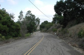 Enlarge photo 226