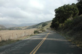 Enlarge photo 228
