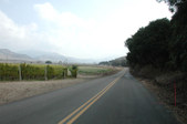 Enlarge photo 230