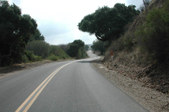 Enlarge photo 232