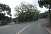 Enlarge photo 236