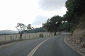 Enlarge photo 238
