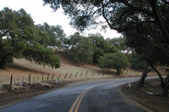 Enlarge photo 241