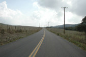 Enlarge photo 246