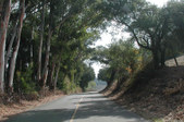 Enlarge photo 248