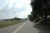 Enlarge photo 249
