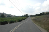 Enlarge photo 250