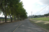 Enlarge photo 251