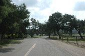 Enlarge photo 253
