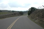 Enlarge photo 257