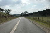 Enlarge photo 259