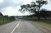 Enlarge photo 260