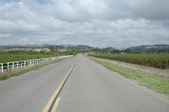 Enlarge photo 262