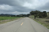 Enlarge photo 265