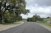 Enlarge photo 266