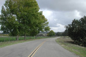 Enlarge photo 267