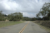 Enlarge photo 269