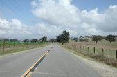 Enlarge photo 272