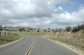 Enlarge photo 273