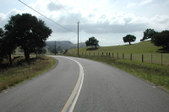 Enlarge photo 279