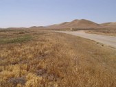 Enlarge photo 29